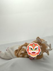 -玛瑞莎孕婴童摄影到家拍