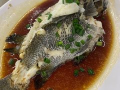 -明记海鲜大排档(巽寮湾店)