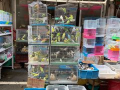 -苏州市皮市街花鸟工艺品市场