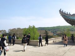 -武汉大学-樱园