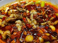 -雲蜀龙阁·金牌水煮鱼(方庄店)