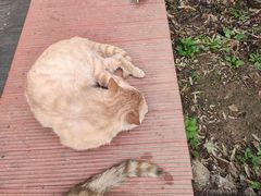 -终南山南五台景区