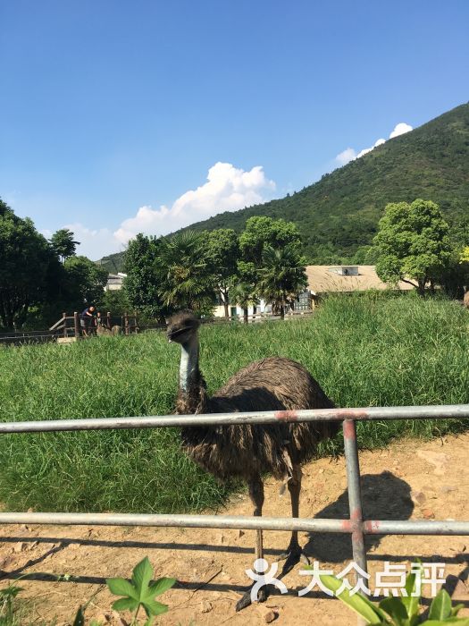 無錫動物園·太湖歡樂園圖片 - 第183張