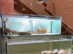 -樱之盛宴·蟹料理海鲜自助(前进大街店)