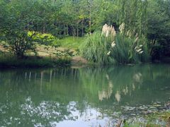 -昆山城市生态森林公园