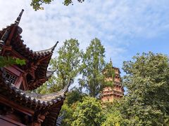 -宝通禅寺