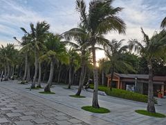 -深圳湾公园(南山区)