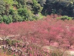 -白水带风景区体育公园