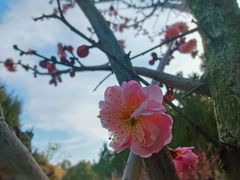 -大蜀山国家森林公园