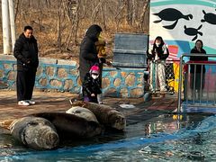 -北戴河圣蓝海洋公园