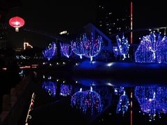 -雁滩公园