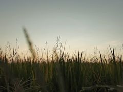 -崖口云吞(中堡店)