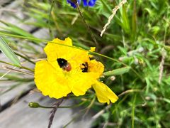 -白草畔自然风景区