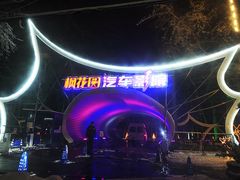 -枫花园汽车电影院(朝阳公园店)