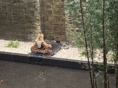 -天津海河悦榕庄·Lobby Lounge大堂吧