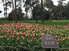 -保利石象湖景区