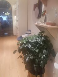 -LJOY丽锦造型·烫发染发