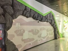 -周口店北京人遗址公园