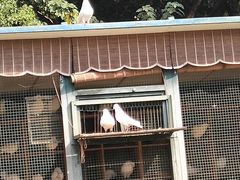 -宋庆龄陵园