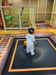 -卡通尼·Safari非洲探索乐园·生日会(金桥国际商业广场店)