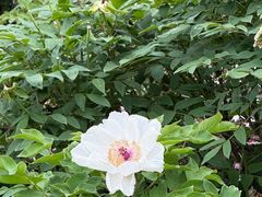 -江南大学(蠡湖校区)