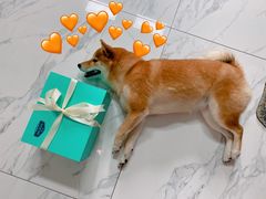 -第戎蛋糕(恒隆广场店)