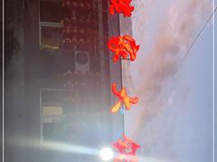 -姥家大锅台水库渔家