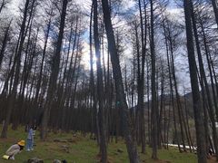 -硗碛藏寨·神木垒景区