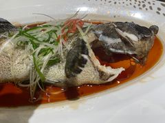 -神洲四海大酒楼(王府井澳门中心店)