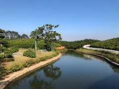 -迪茵湖田家舍生态农场