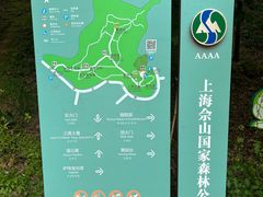 -上海佘山国家森林公园天马山园