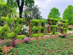 -铁山坪森林公园