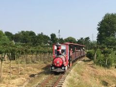 -武汉紫薇都市田园