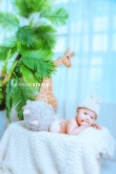 -愿望树儿童摄影(699文创店)