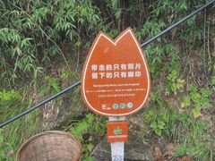 -朱雀国家森林公园