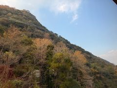 -天明山温泉大酒店