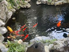-鲤院·新中式美学·庭院餐厅(夫子庙店)