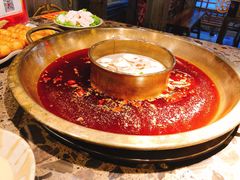 -Xiao Long Kan Hotpot Sydney 小龙坎老火锅