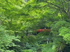 -三千院