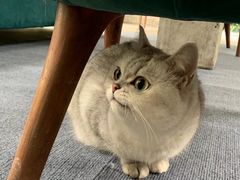 -嘉美宠物医院