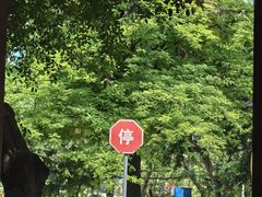 -大鱼山房鱼头火锅(老字号品质店)