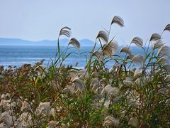 -东山风景区(洞庭东山)