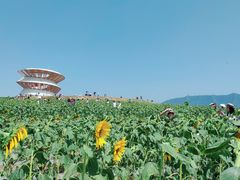 -光明小镇欢乐田园