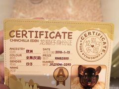 -龙猫仔乐园(惠福东路店)