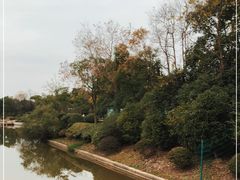 -上海海湾国家森林公园