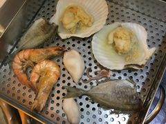 -熊出没日本烧肉放题