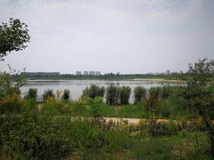 -绿堤公园