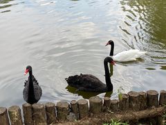 -沈阳森林动物园