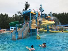 -海盗传奇水世界