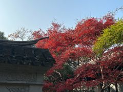 -惠山古镇·寄畅园